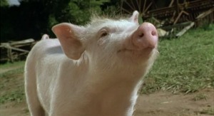 Film Quizzes - Farmyard Animals Film 5